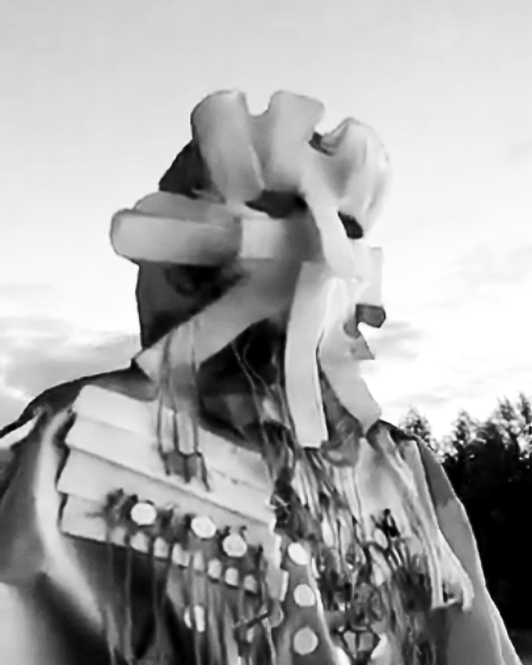 Berkveldt - De Kraakwaak